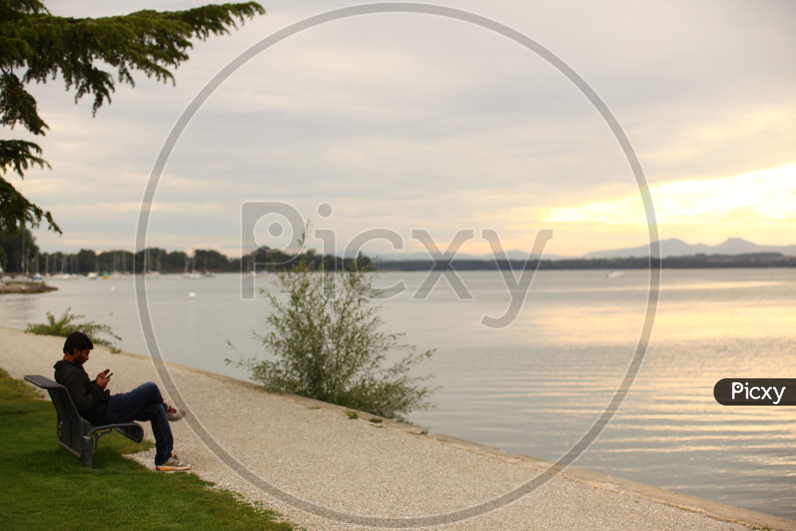 A Man using Mobile smartphone While Sitting On a Lake bank