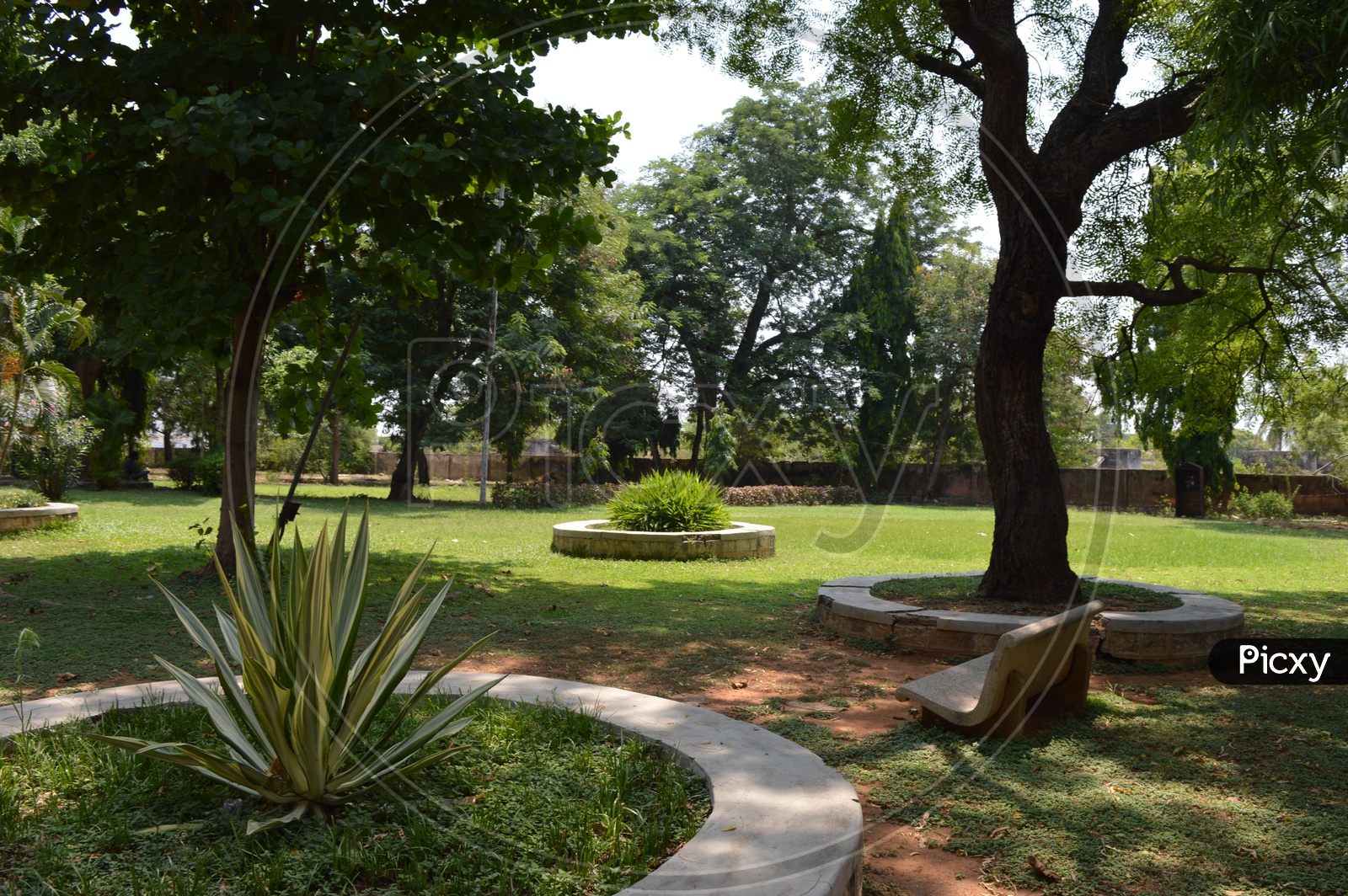 Image of trees growing on a house compound or lawn garden hn690046 picxy