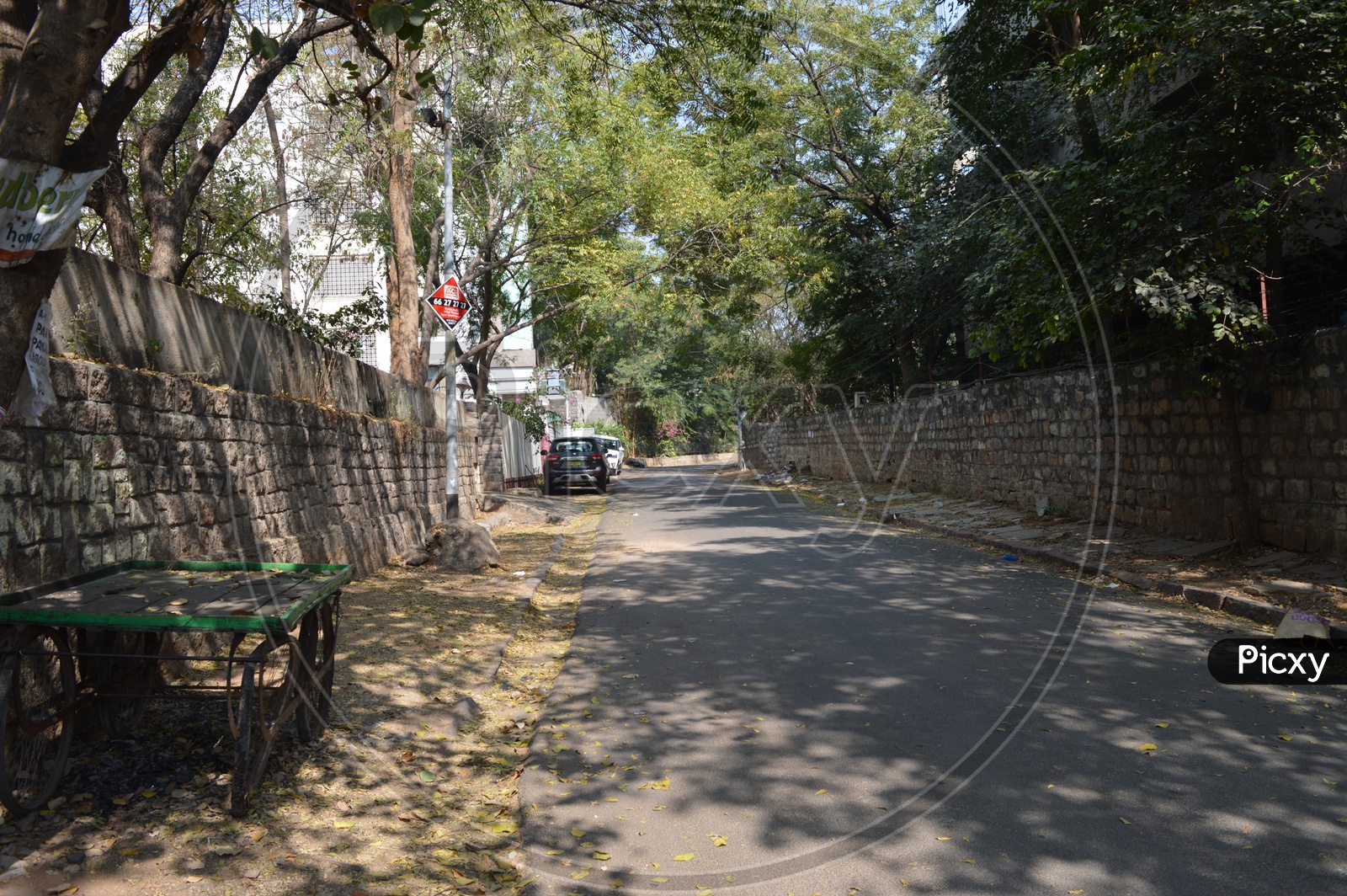 Streets In Residential Area Colony