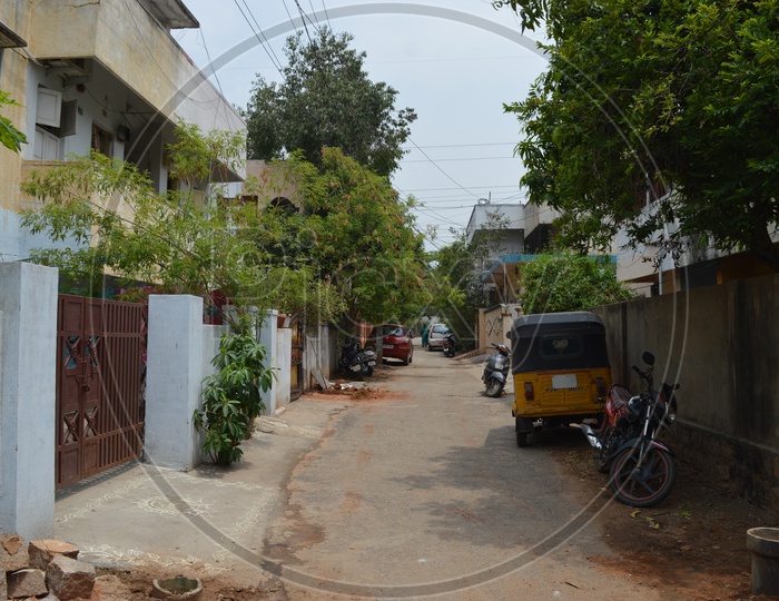 Hyderabad Streets Covered with Greenery