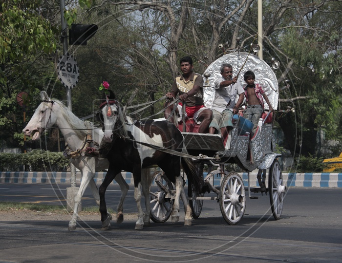 Horse Chariot Rides in Kolkata