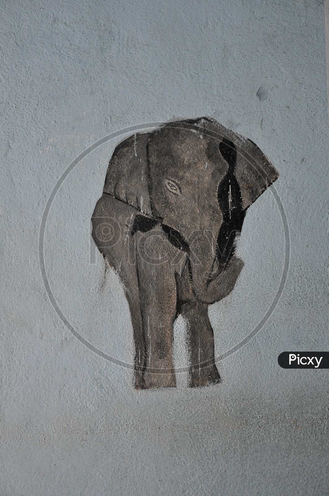 ELEPHANT ON THE WALL