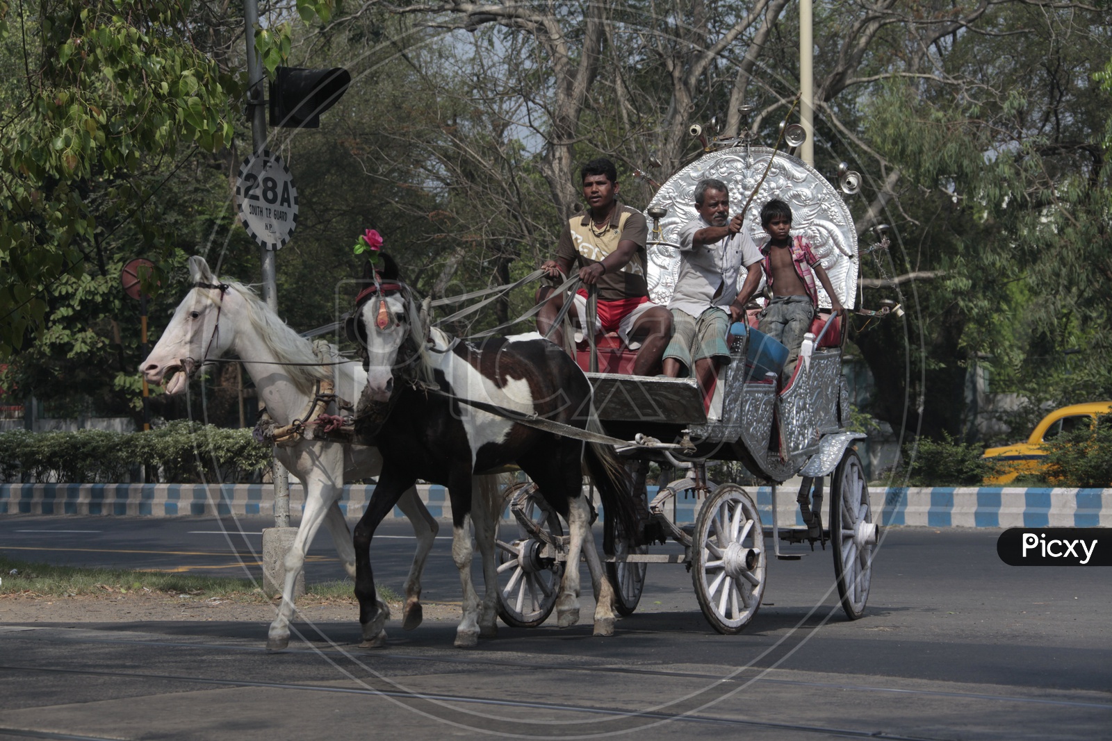 Horse Chariot Rides in Kolkata