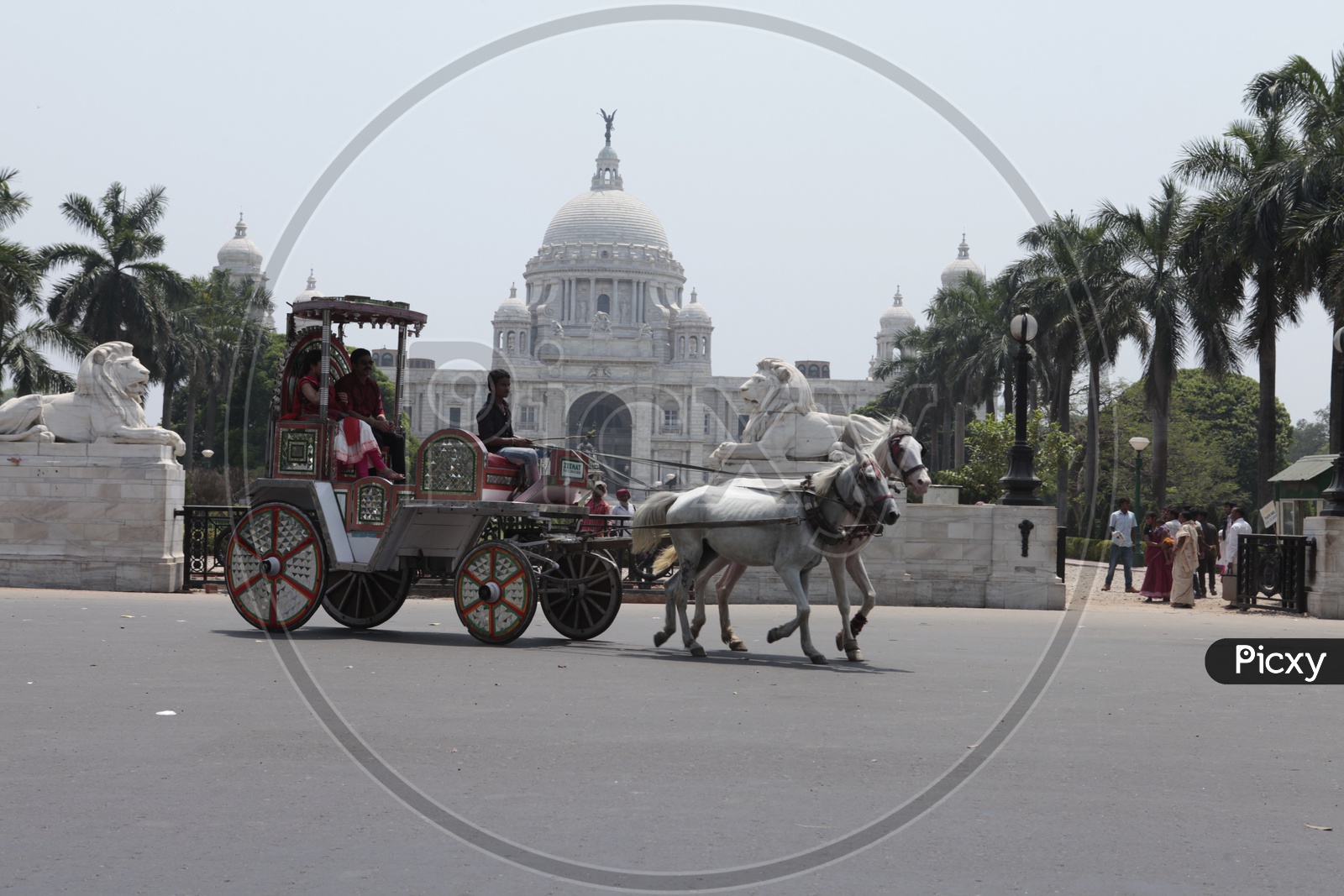 A Couple Enjoying Horse Chariot Rides in Kolkata