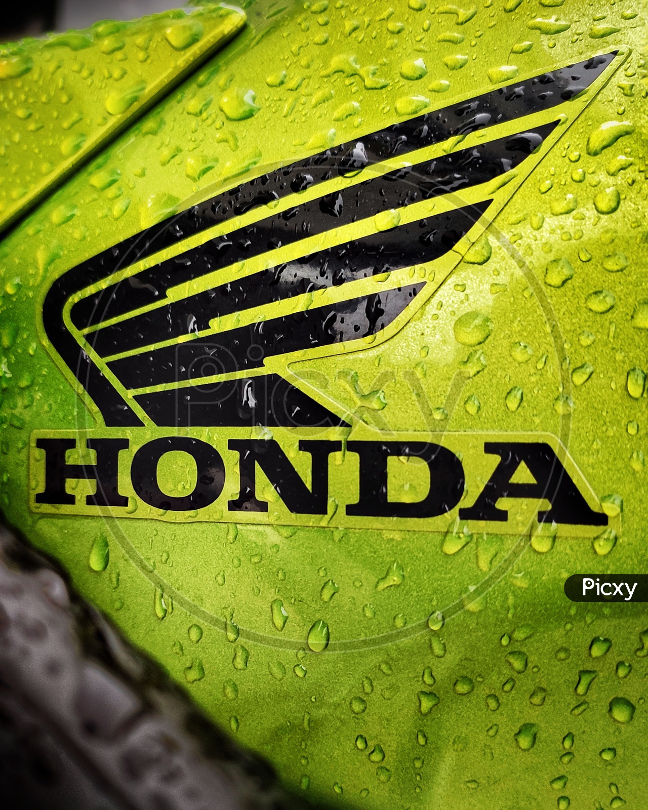 Honda bikes