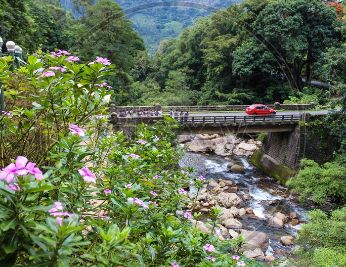 Gearing up to the hills of Munnar there comes the sound of waterfalls  surrounded with trees,flowers,animals,blue skies &bridges.