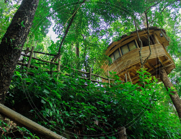 TREE HOUSE IN JUNGLE