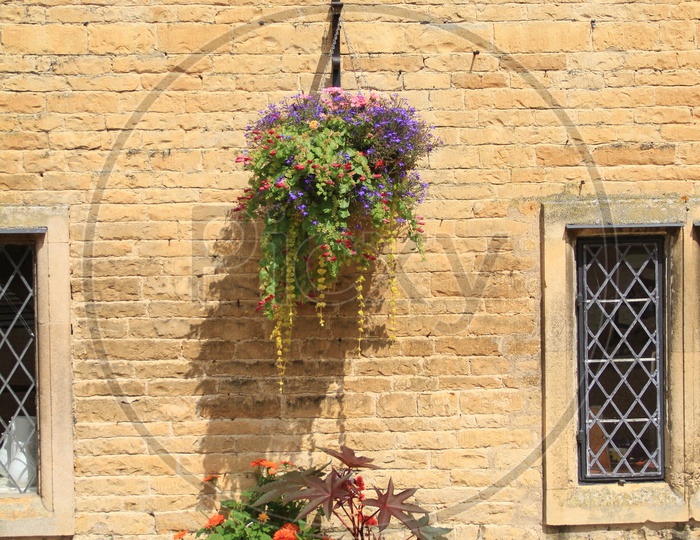 Hanging Plants at Burghley House