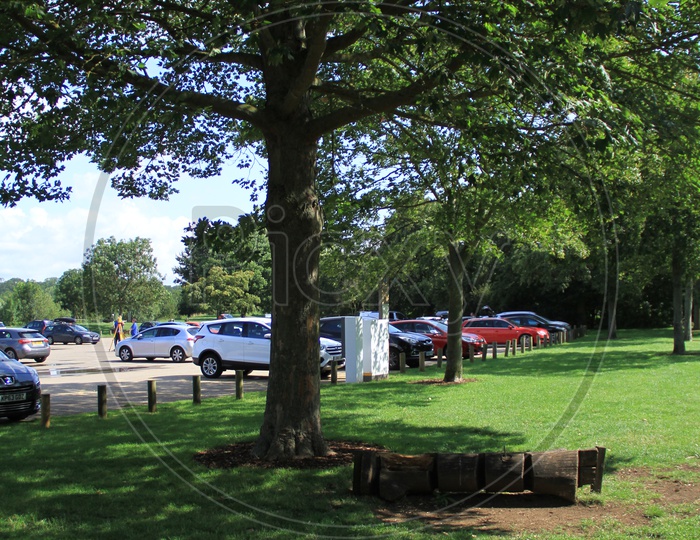 Cars Parked near Trees