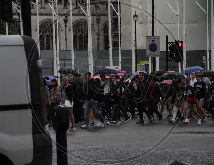 Pedestrians crossing the Road while Raining with Umbrellas