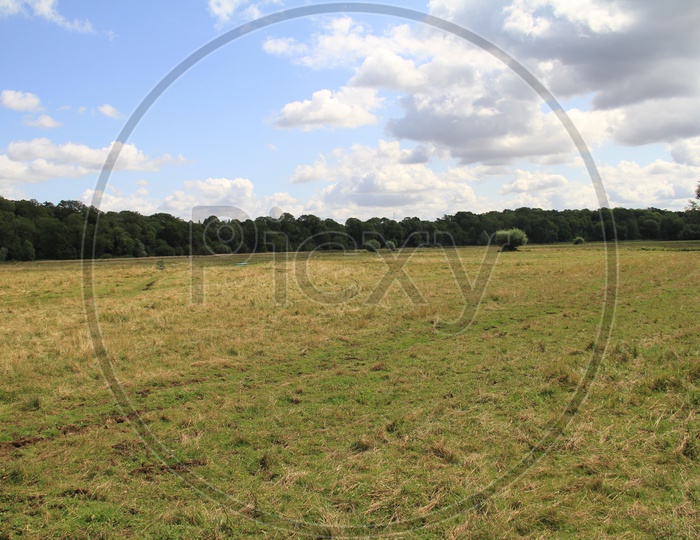 Open Plain Farm Field