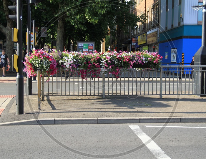 Flowers by roadside Peterborough