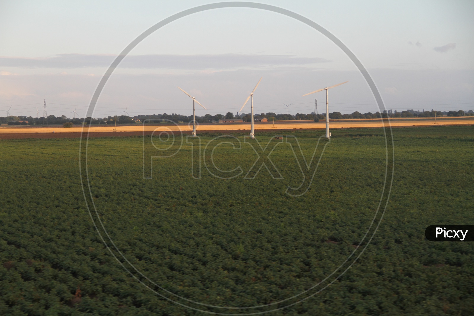Agriculture Fields with Wind Turbines