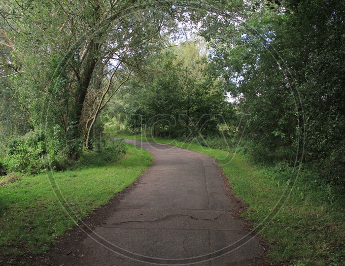 Curved Narrow Pathway in Ferry Meadows Caravan and Motorhome Club Site