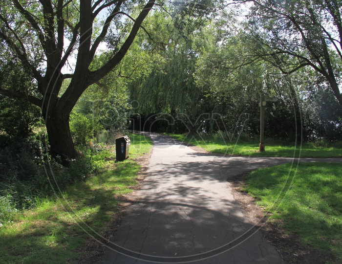 A Narrow Path along Trees in a Park