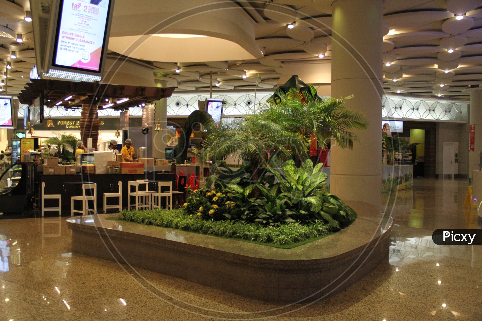 Plants Garden Inside A Shopping Mall