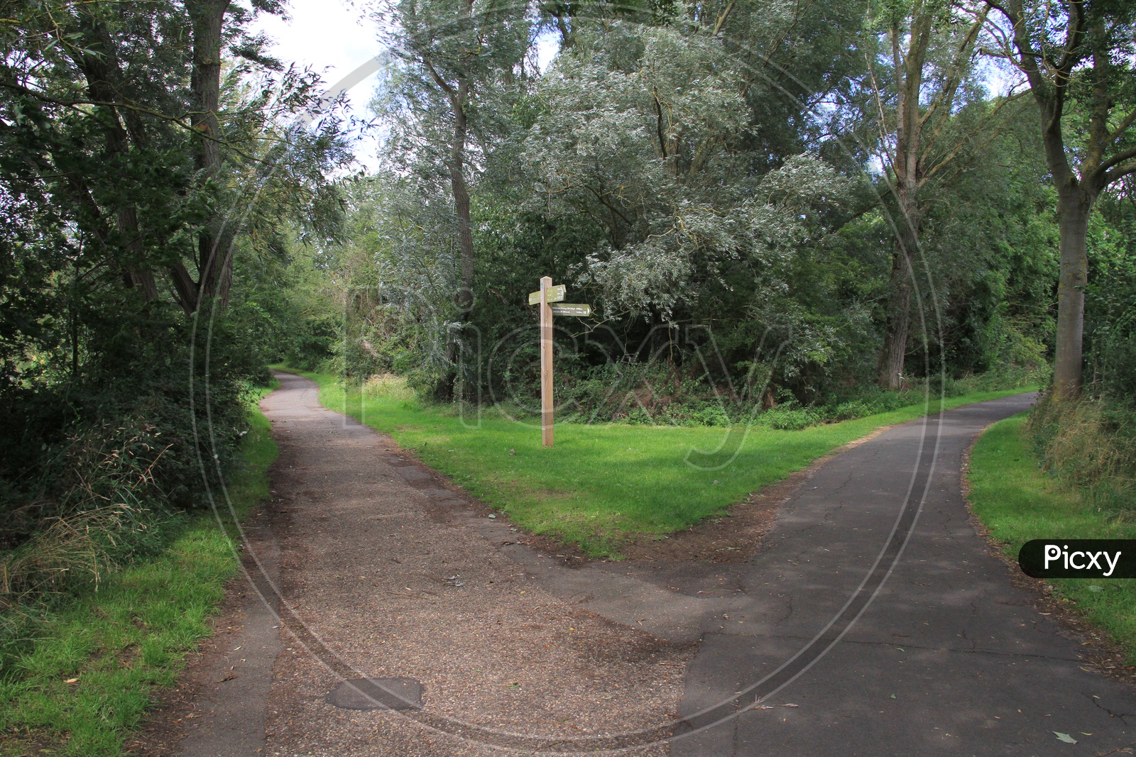 Pathways in a Park