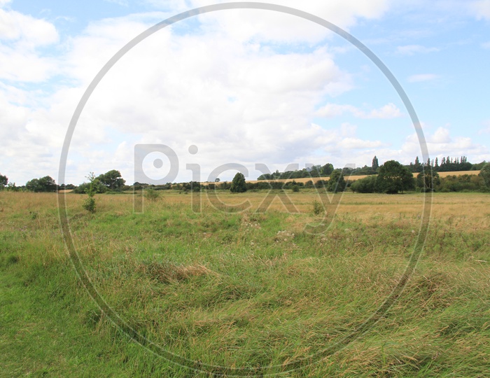 Grass-fields with Clouds in Sky background