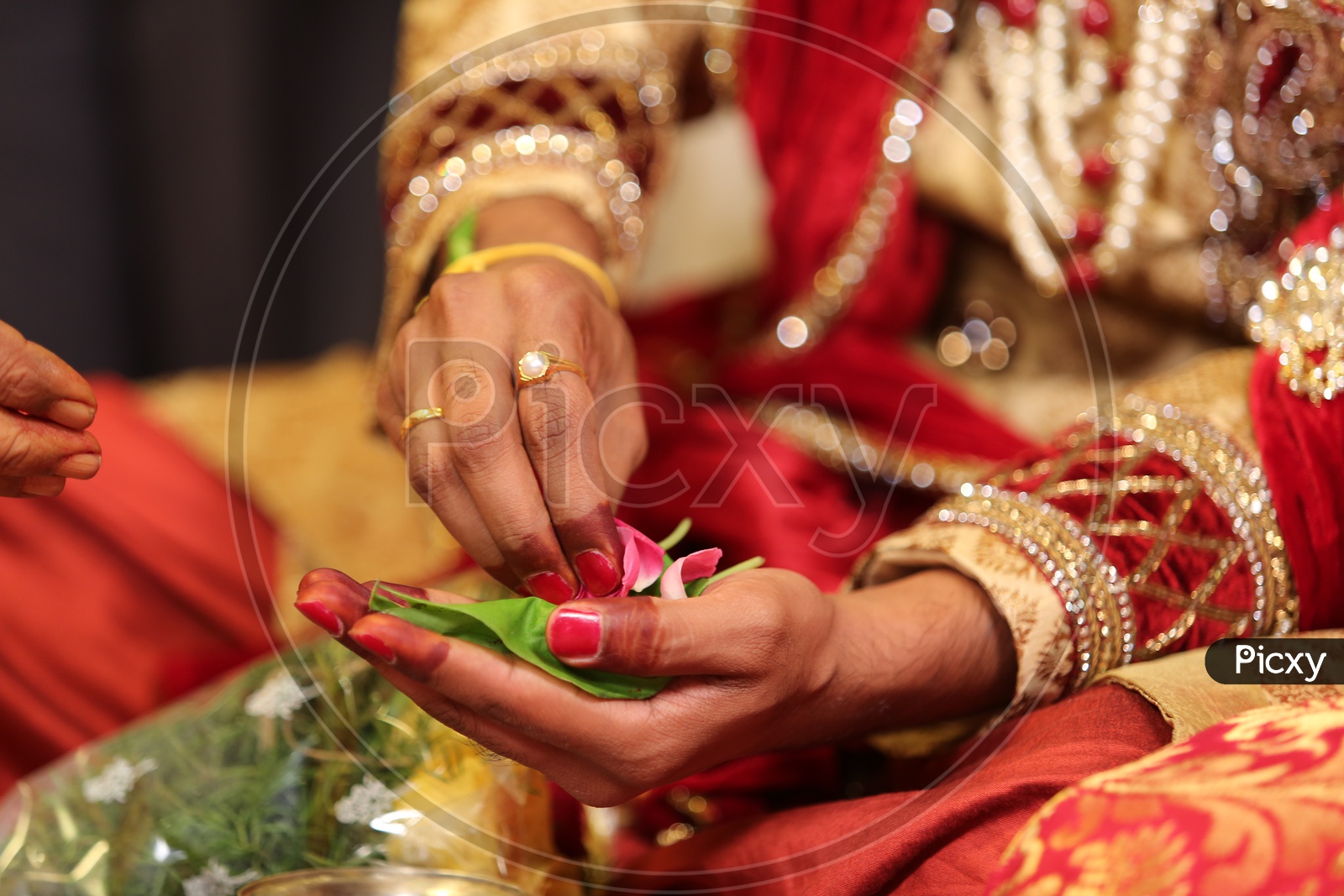 Indian bride holding betel leaf