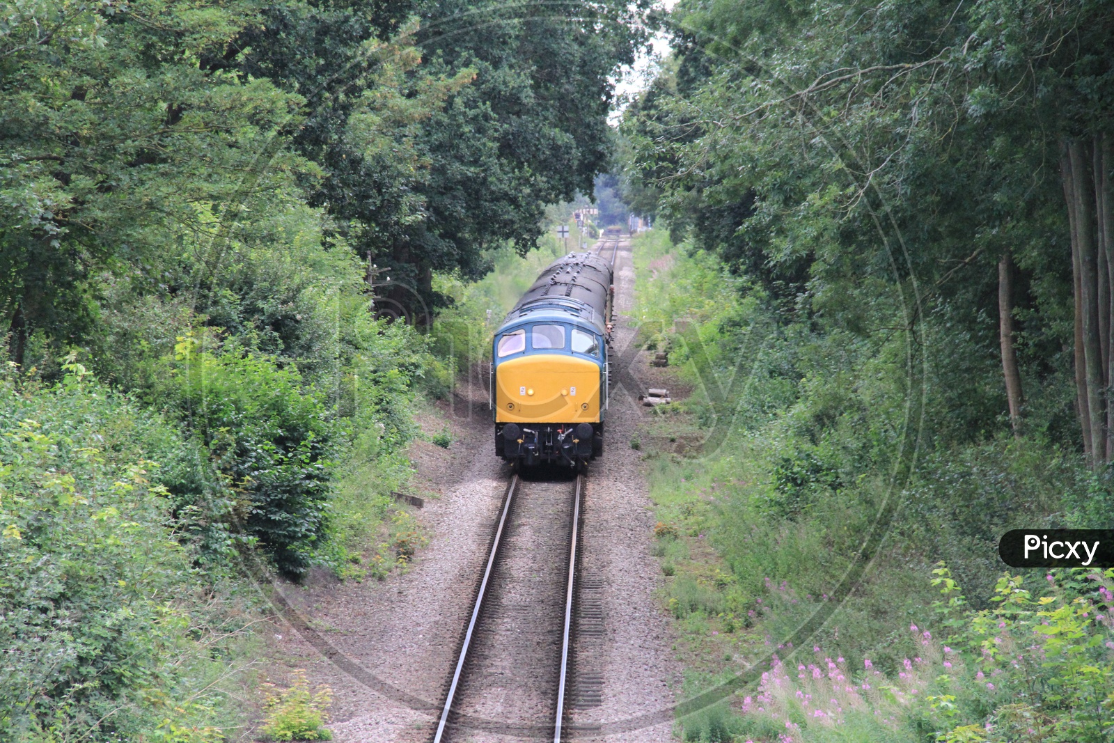 Train on Railway Track