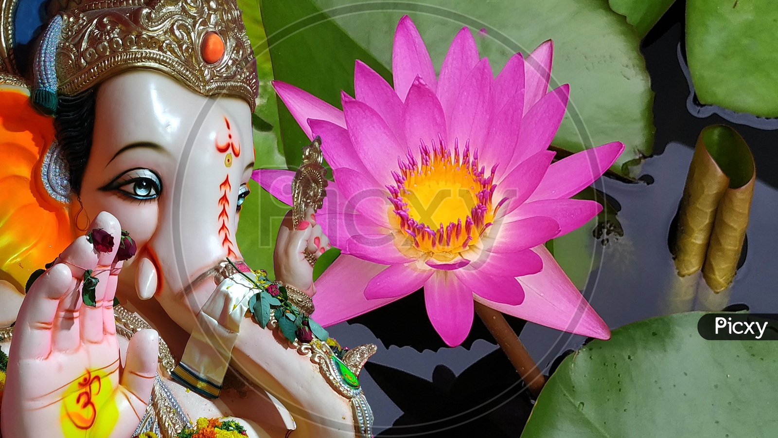 Ganesha with Lilly lotus