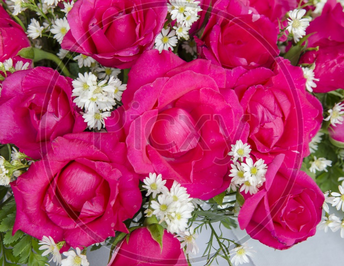 Artificial Rose Flowers Closeup In a Vase