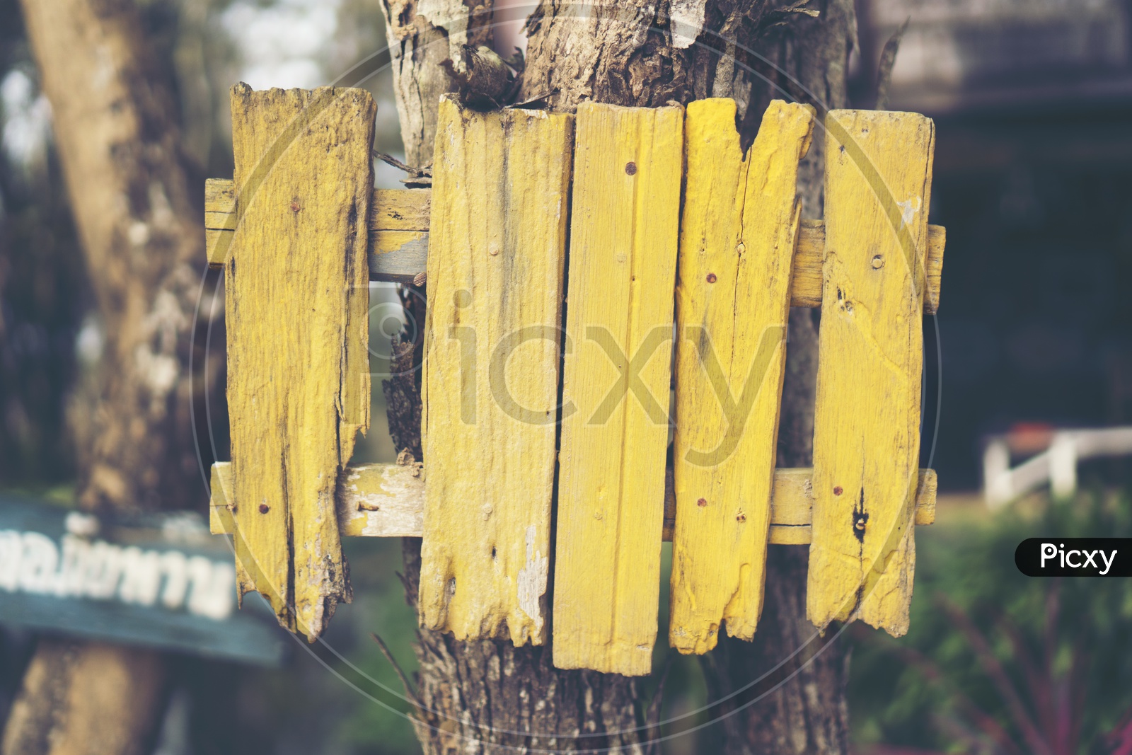 Yellow old wooden banner on the tree trunk