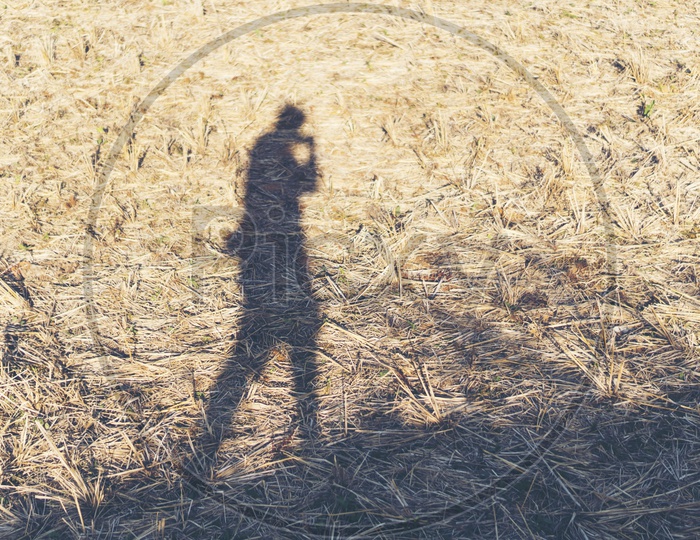 Shadow of a man on the dry grass, walking alone.