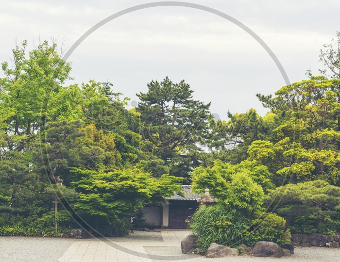 Park  In a Japanese Temple With Green Trees