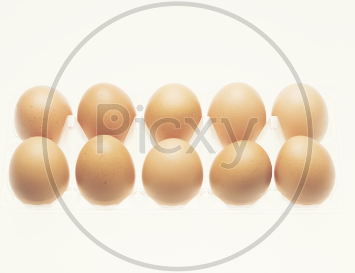 Organic brown Chicken  Eggs  in a tray On an Isolated White Background