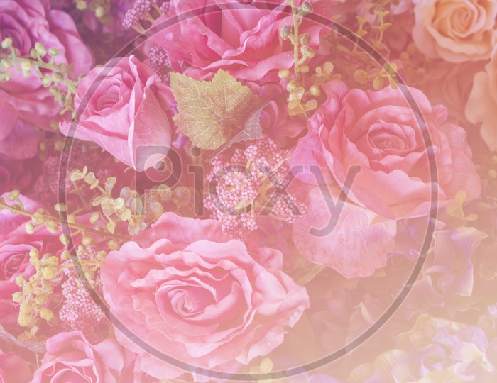 Close up of pink rose flowers background for Valentine's Day