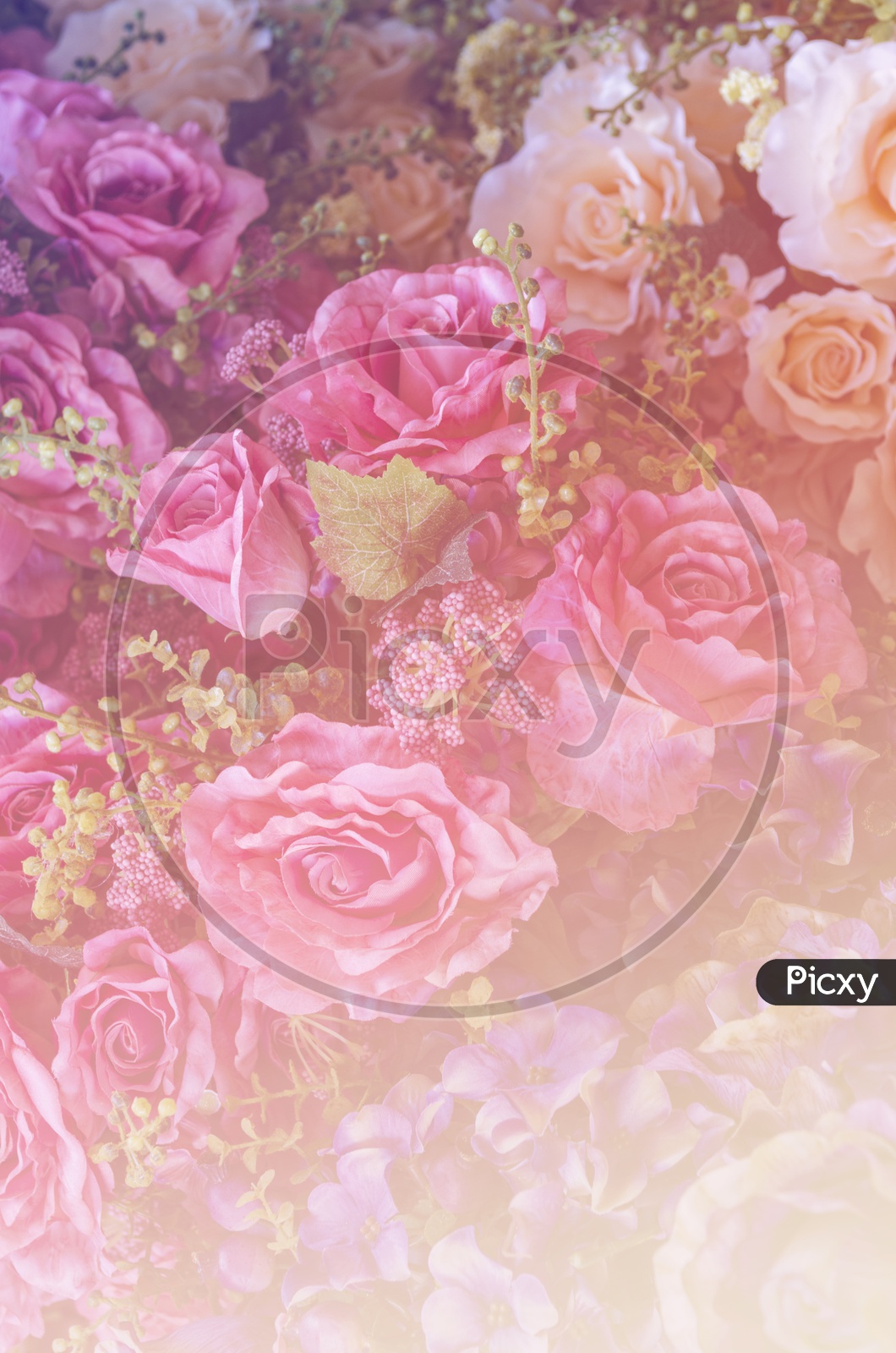 HD wallpaper Anime Original Boy Flower Rose  Wallpaper Flare