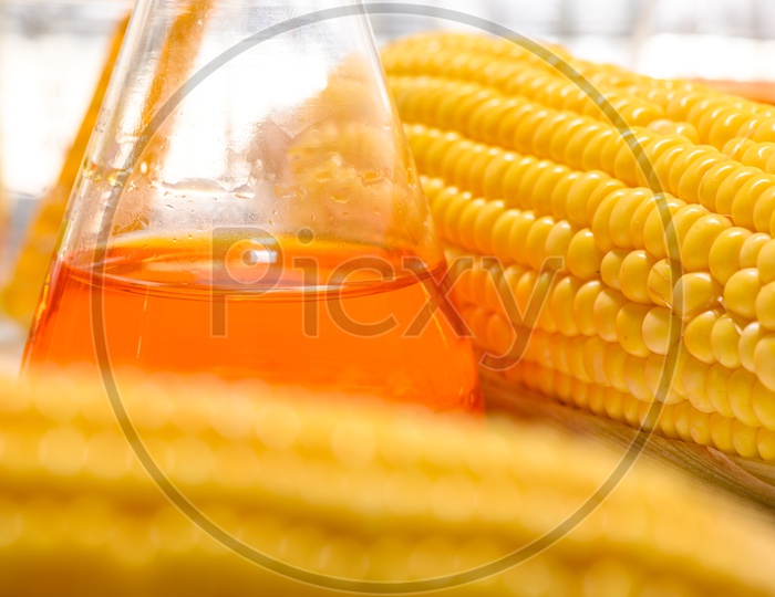 Close up of Biofuel or Corn Syrup, gasoline, energy, environmentalist
