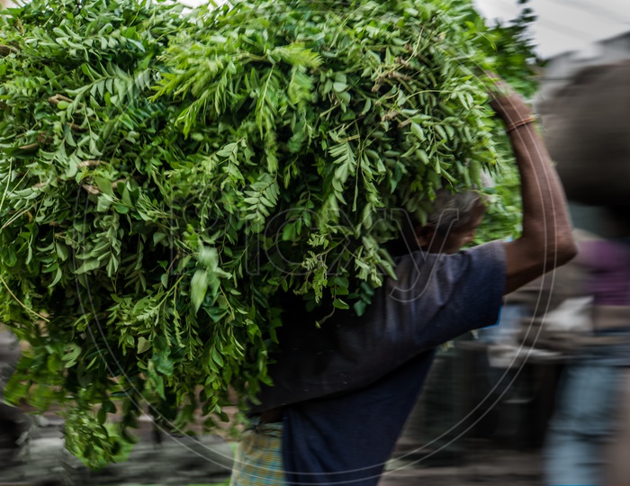 Man carrying a load of leafy-vegetables.
