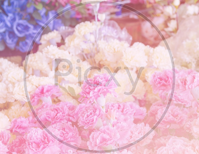 abstract colorful flowers background