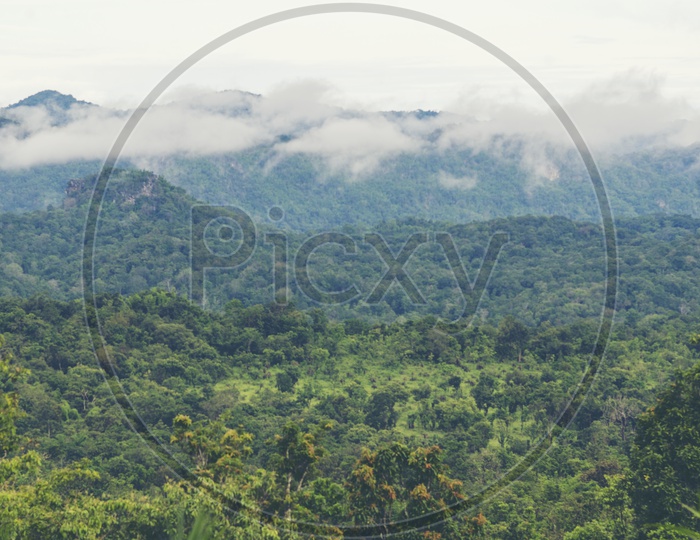 Landscape of  Tropical Forest With Trees Seamless Patterns and Mountains
