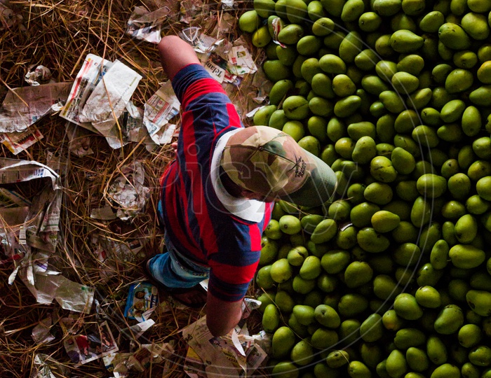 Top view of mangoes and the seller in the market