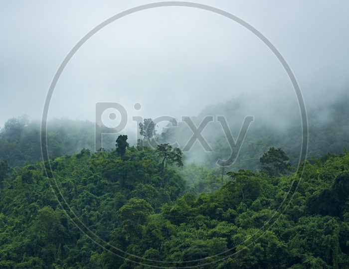 Mountain Passes With Foggy Clouds  Resembling Nature Or Eco-system In Khao Yai National Park