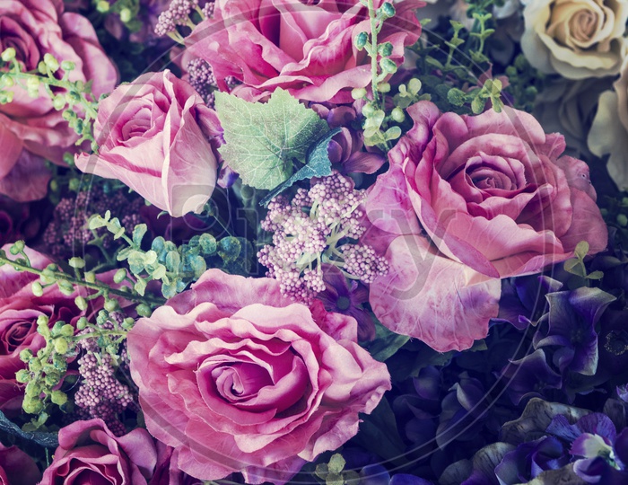 rose flowers background for Valentine's Day, vintage filter image