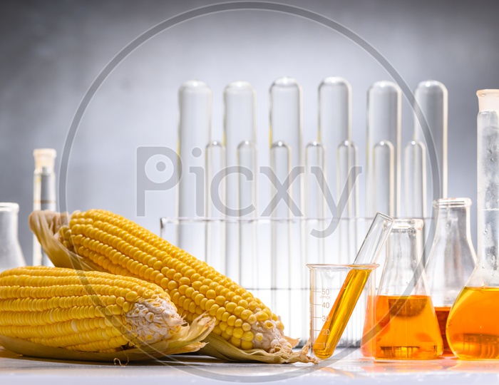corn biofuel products in funnels and test tubes, sustainable energy product, environmentalist
