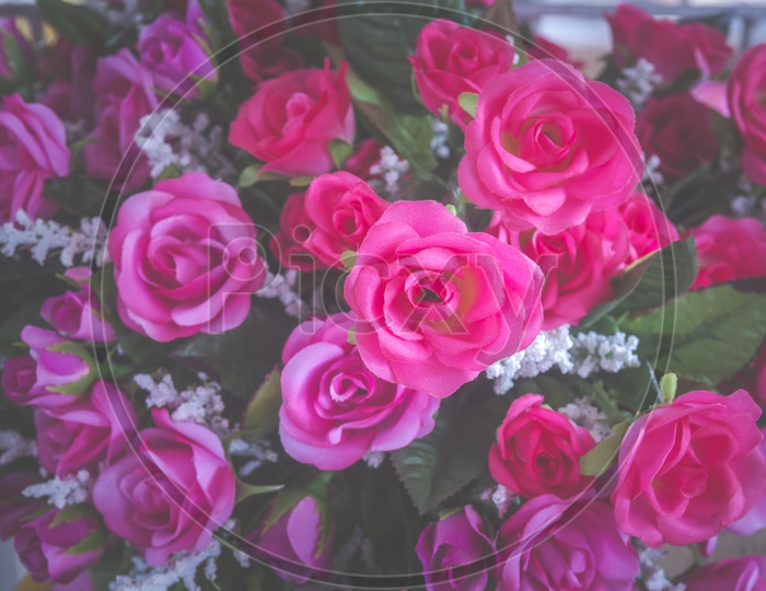 Beautiful Rose Flowers In  a Bouquet Closeup Forming a Background