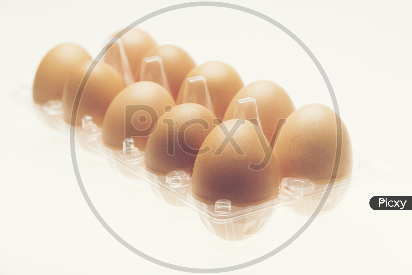 Chicken Eggs  In a Tray  on an Isolated White  Background