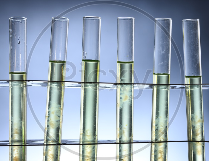 algae biofuel tubes in biotech laboratory, Photobioreactor in lab algae fuel biofuel industry
