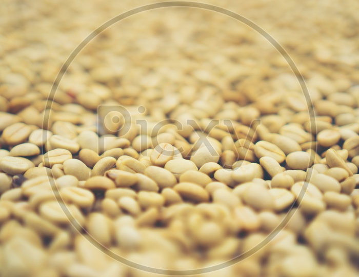 Raw coffee beans abstract texture background