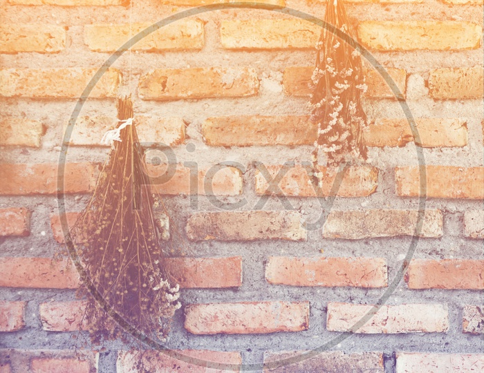 dry yellow flower on the brick wall in the cafe, vintage filter image