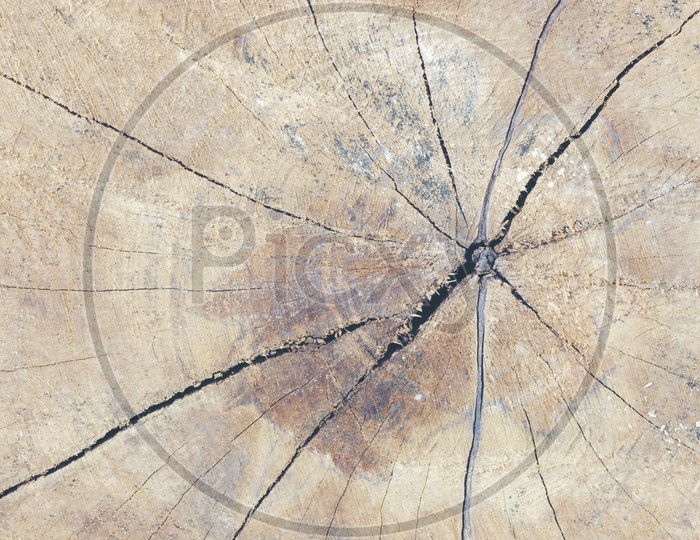 abstract texture wood background, vintage filter image