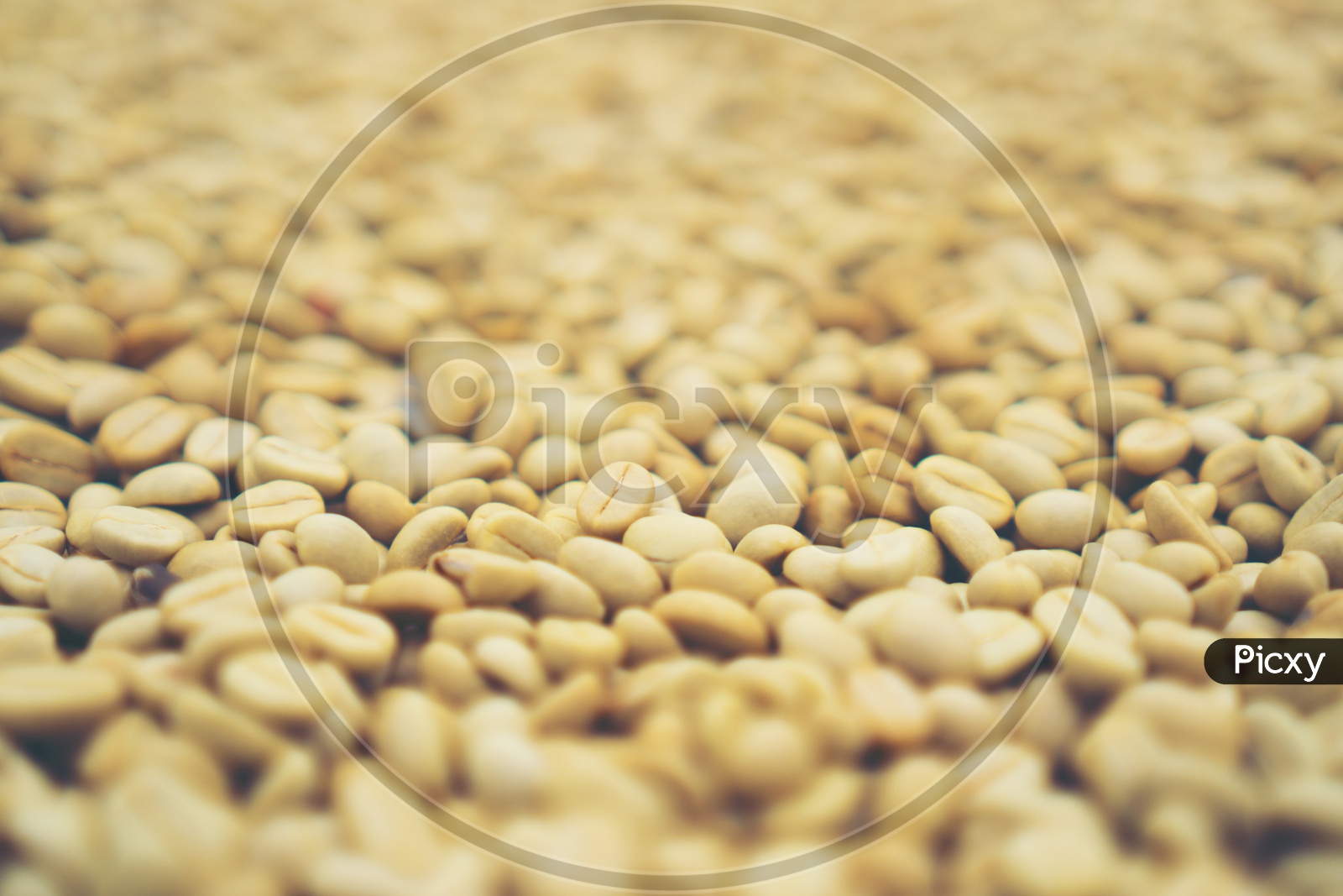 Raw coffee beans abstract texture background