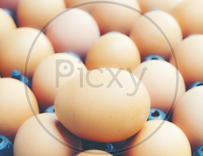 Group Of Organic Eggs In a Tray Closeup Forming a Background