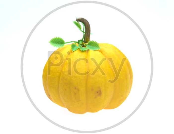Yellow Pumpkin on an Isolated White Background