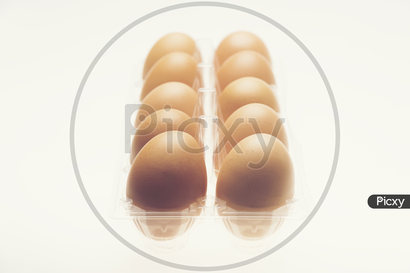 Organic brown Chicken  Eggs  in a tray On an Isolated White Background